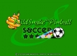 WildSnake Pinball: Soccer *****