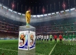 2010 FIFA World Cup: South Africa
