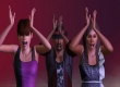 Sims 3: Showtime, The