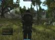 Repopulation, The