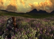 Lord of the Rings Online: Riders of Rohan
