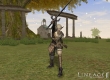 Lineage II: The Chaotic Throne – Interlude
