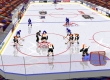 NHL Hockey '96