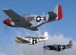Digital Combat Simulator: P-51D Mustang