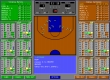 Nothing But Net!: Pro League Basketball