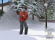 Sims 2: Seasons, The