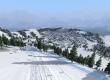 Alpine Skiing 2006