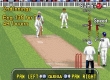 Brian Lara Cricket '99