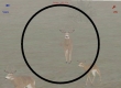 Deer Hunter 5:  Tracking Trophies