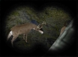 Cabela's Ultimate Deer Hunt 2