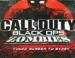Call Of Duty: Black Ops Zombies   iOS