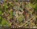 1.5    The Settlers Online