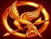 Hunger Games: Girl On Fire   iOS