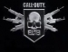  Call of Duty Elite  