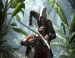 3   Assassins Creed 4: Black Flag