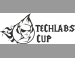 TECHLABS CUP UA 2013:      10 