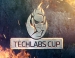 DreamHack  TECHLABS CUP:   