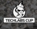  TECHLABS CUP UA 2013  31 
