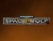  Warhammer 40,000: Space Wolf