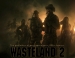 Более 8000 багов обнаружено в Wasteland 2