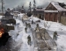  Company of Heroes 2   Total War: Rome 2