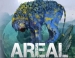 Areal  