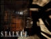 S.T.A.L.K.E.R.:       Steam