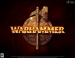     Warhammer Online