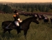 Napoleon: Total War Limited Edition,     