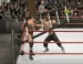 WWE Brawl 