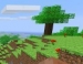   Minecraft  Xbox 360  MineCon