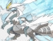    Pokemon Black  White 2  