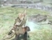   Dragon's Dogma  