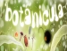   Botanicula