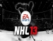   NHL 13