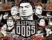 DLC  Sleeping Dogs  