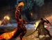  Dragons Dogma: Dark Arisen