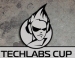   TECHLABS CUP RU 2013