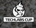 Финал TECHLABS CUP UA 2013 пройдет 31 августа
