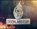    - TECHLABS CUP 2013