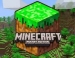   Minecraft: Pocket Edition