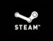  Steam     