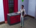   The Sims 4