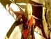 Final Fantasy Type-0 HD  PC  18 