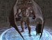    Neverwinter Nights 2