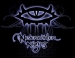      Neverwinter Nights 2