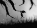  Limbo   IP